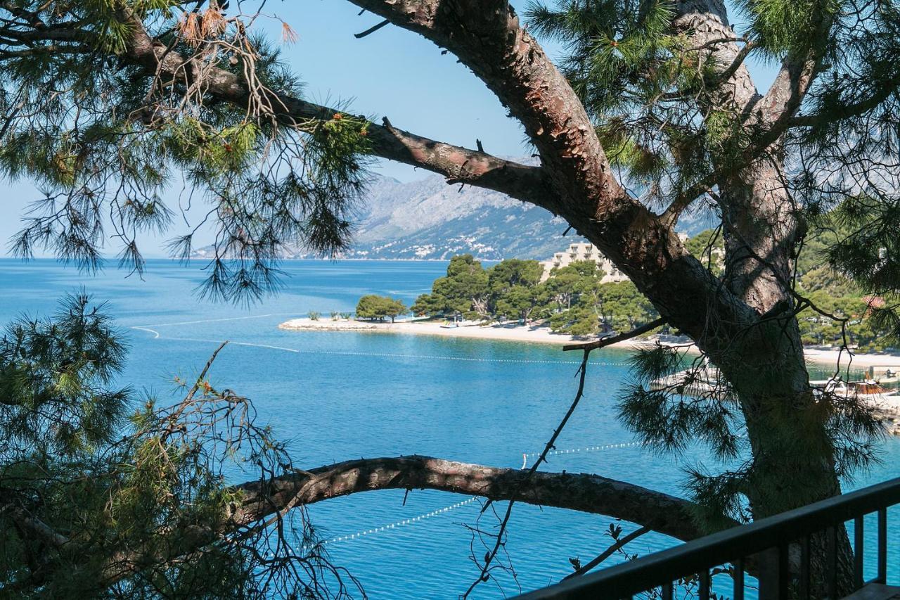 Apartments By The Sea Brela, Makarska - 16950 Exteriér fotografie